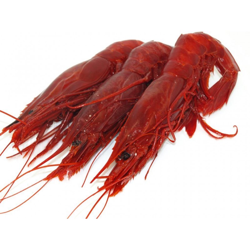 Carabineros
