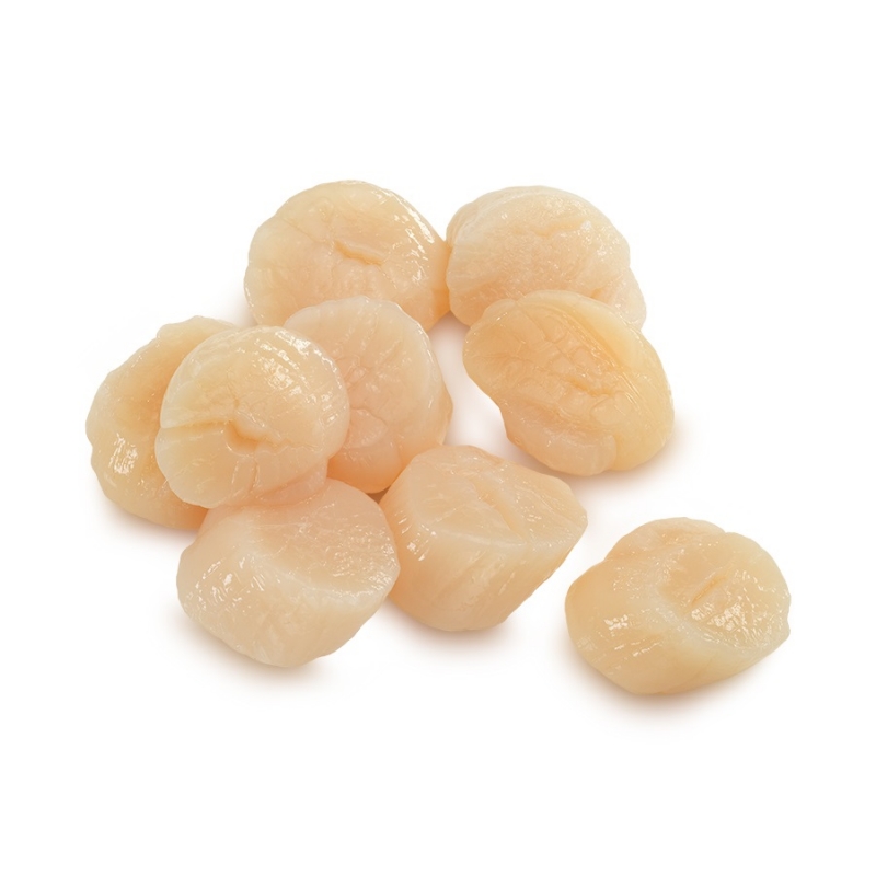 Coquilles Saint-Jacques
