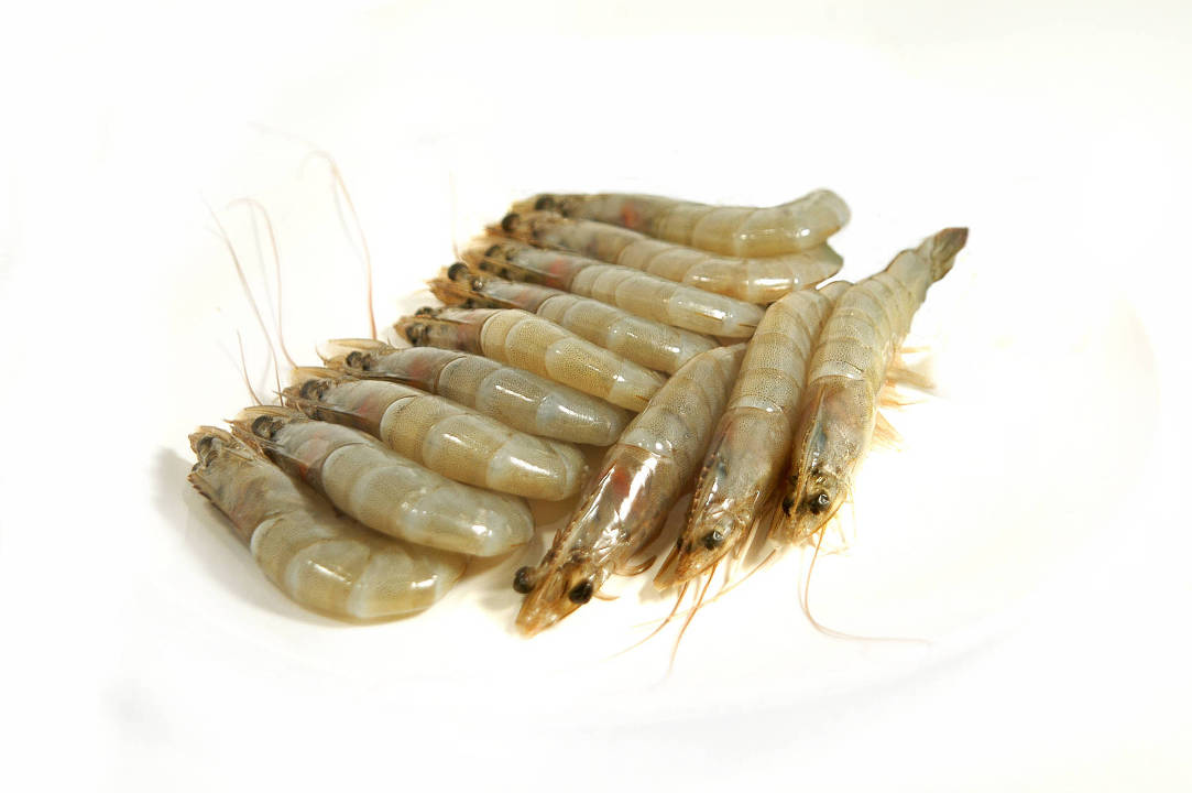 Gambas entiéres Equateur