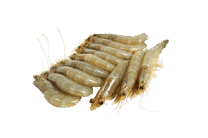 Gambas entiéres Vanamei