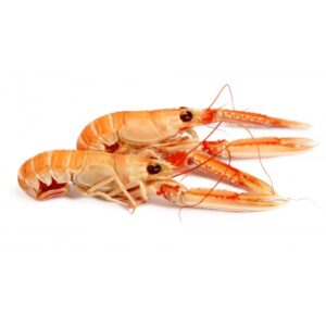 Langoustines