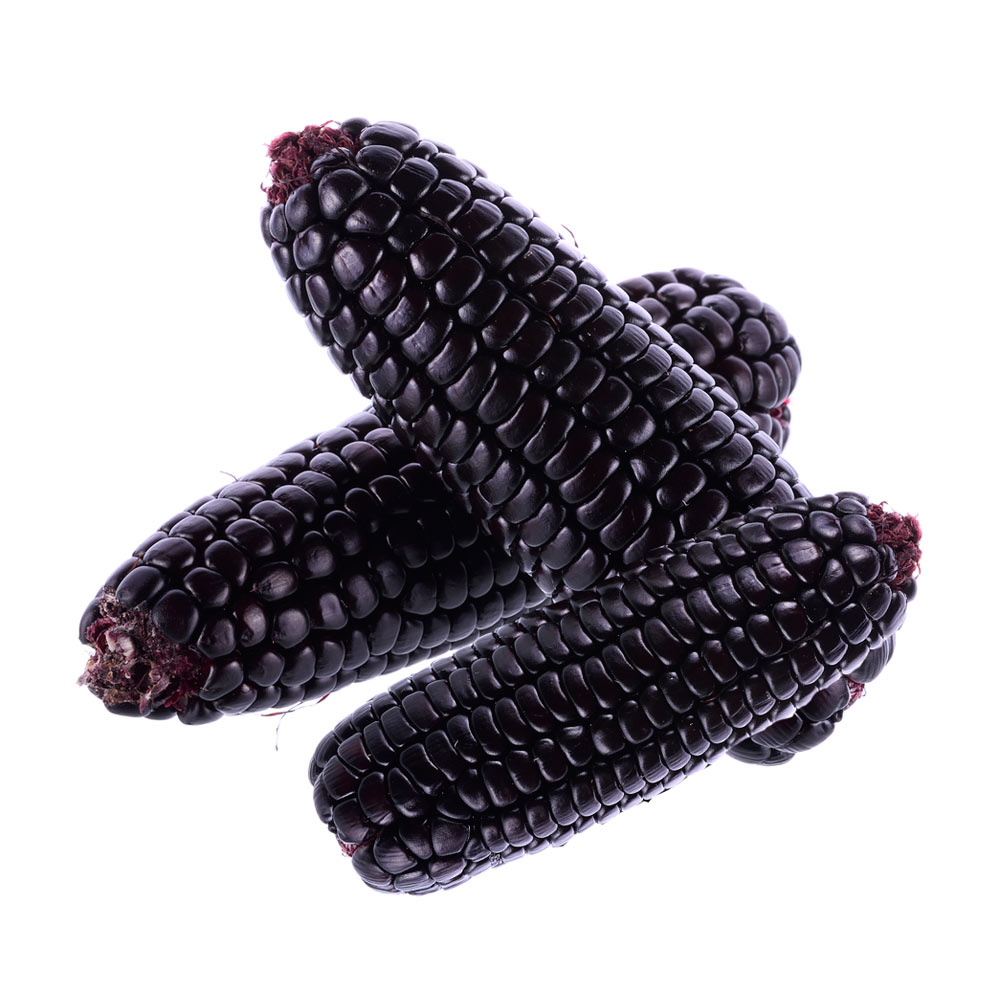 Maiz morado