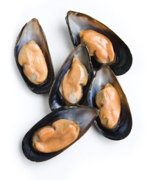 Moules demi-coquilles