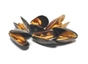 Moules entières