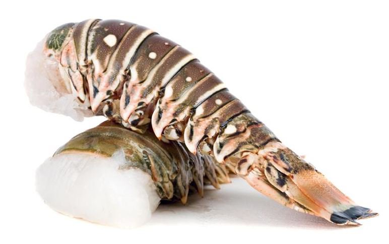 Queues de langouste