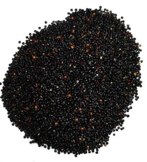 Quinoa negra