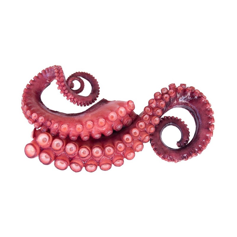 Tentacules poulpes cuits